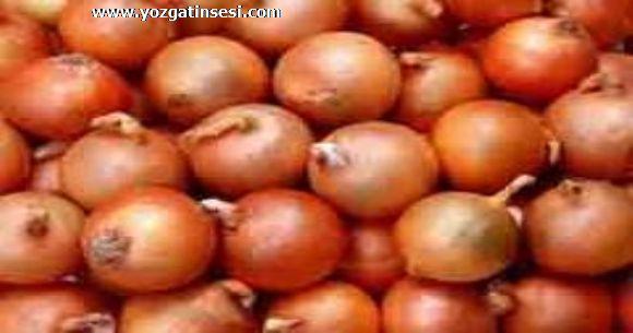 Yozgat'ta �ift�i Bu Y�l So�an Ekimini Azaltt�